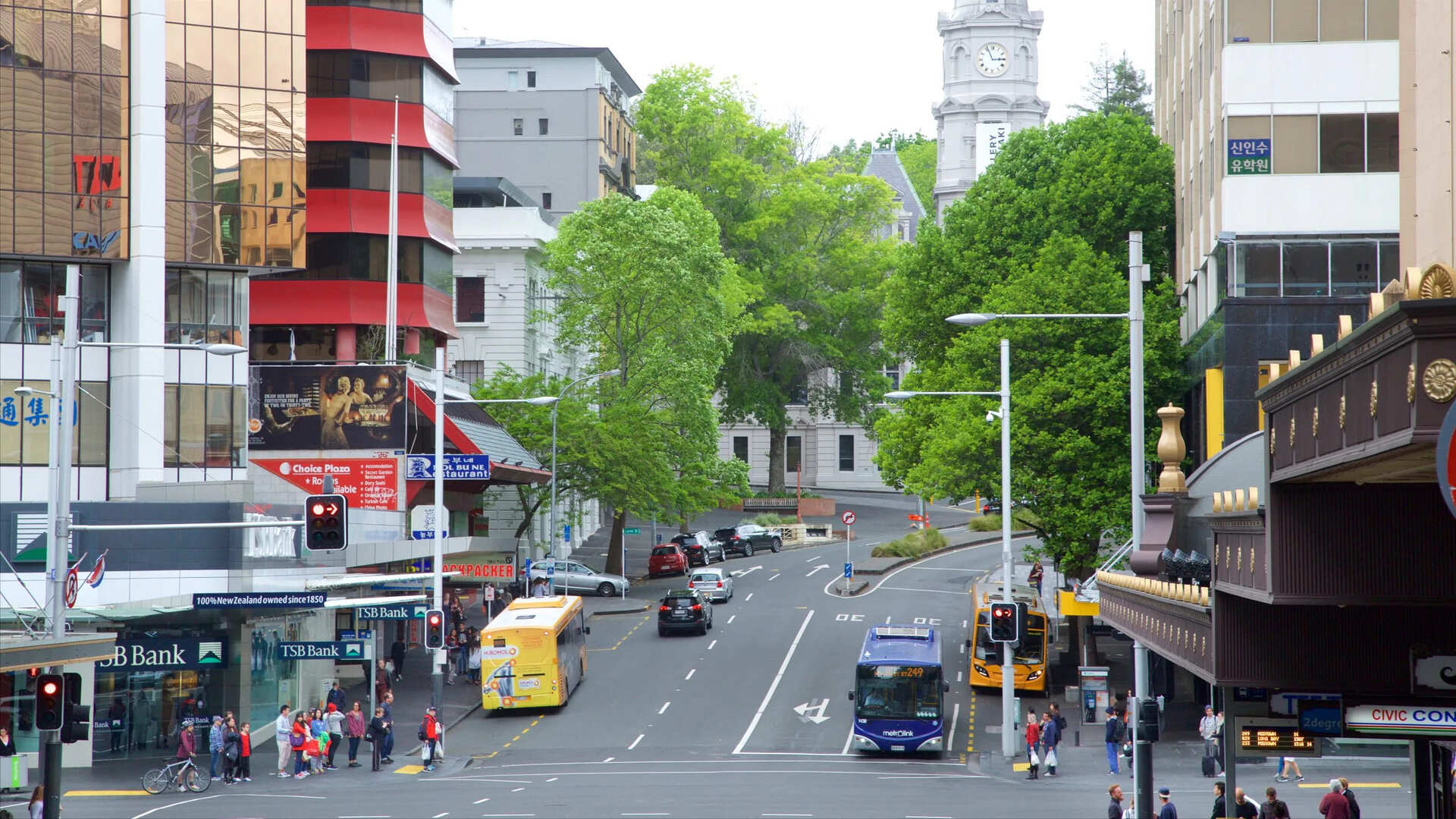 Auckland small business industries served by Kiwi Web Design
