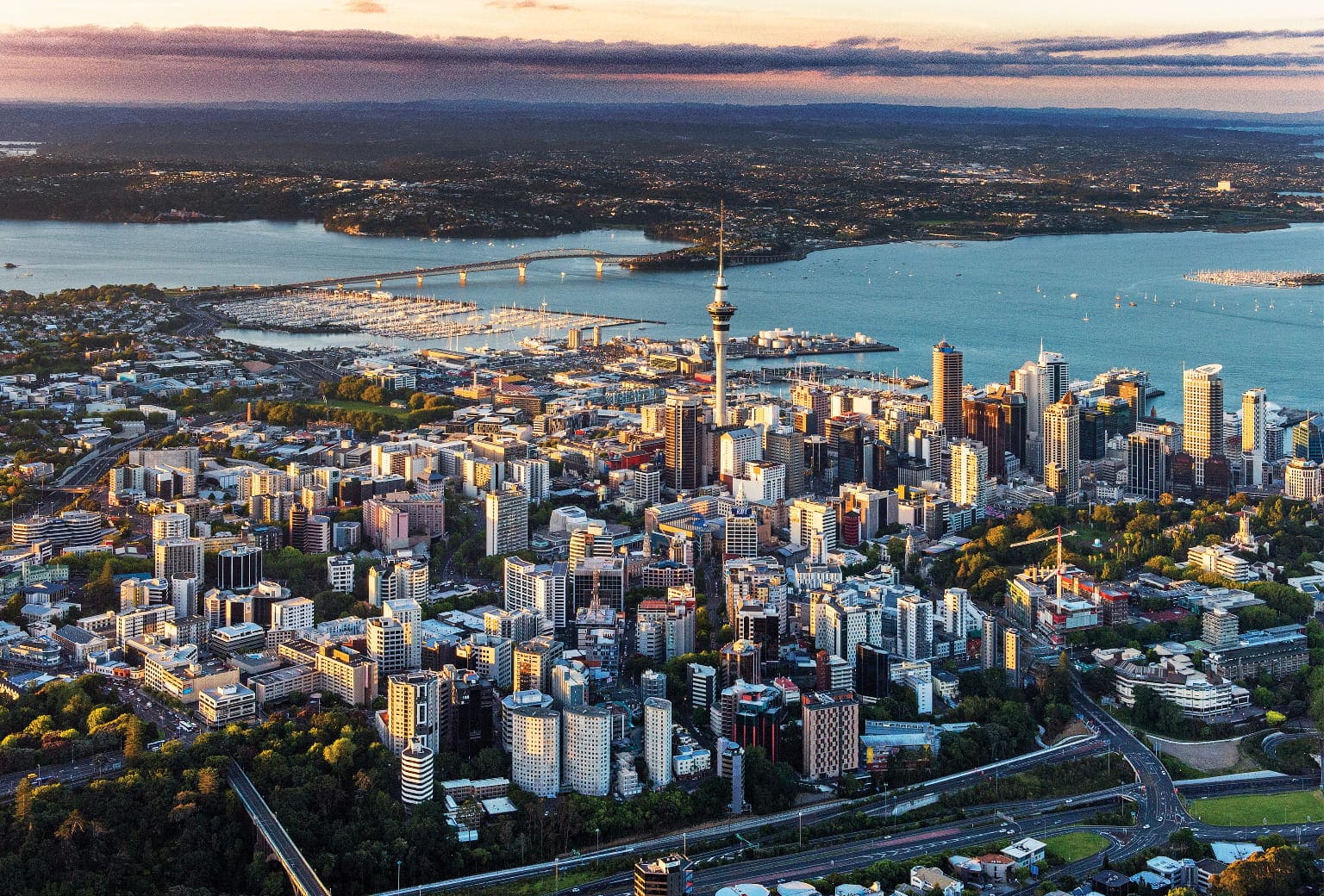 Central Auckland skyline representing CBD web design clients