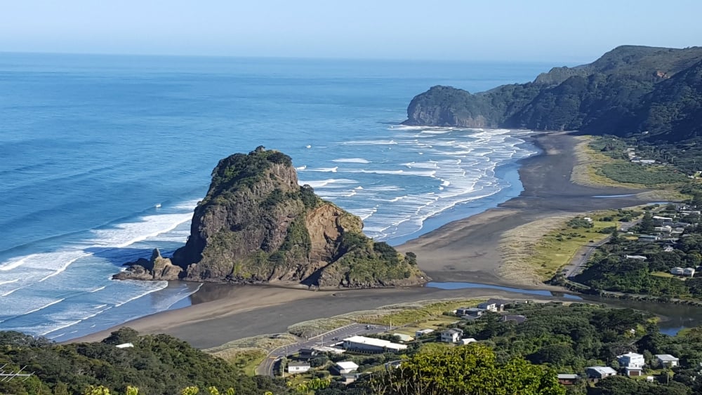 West Auckland landscape for local web design services