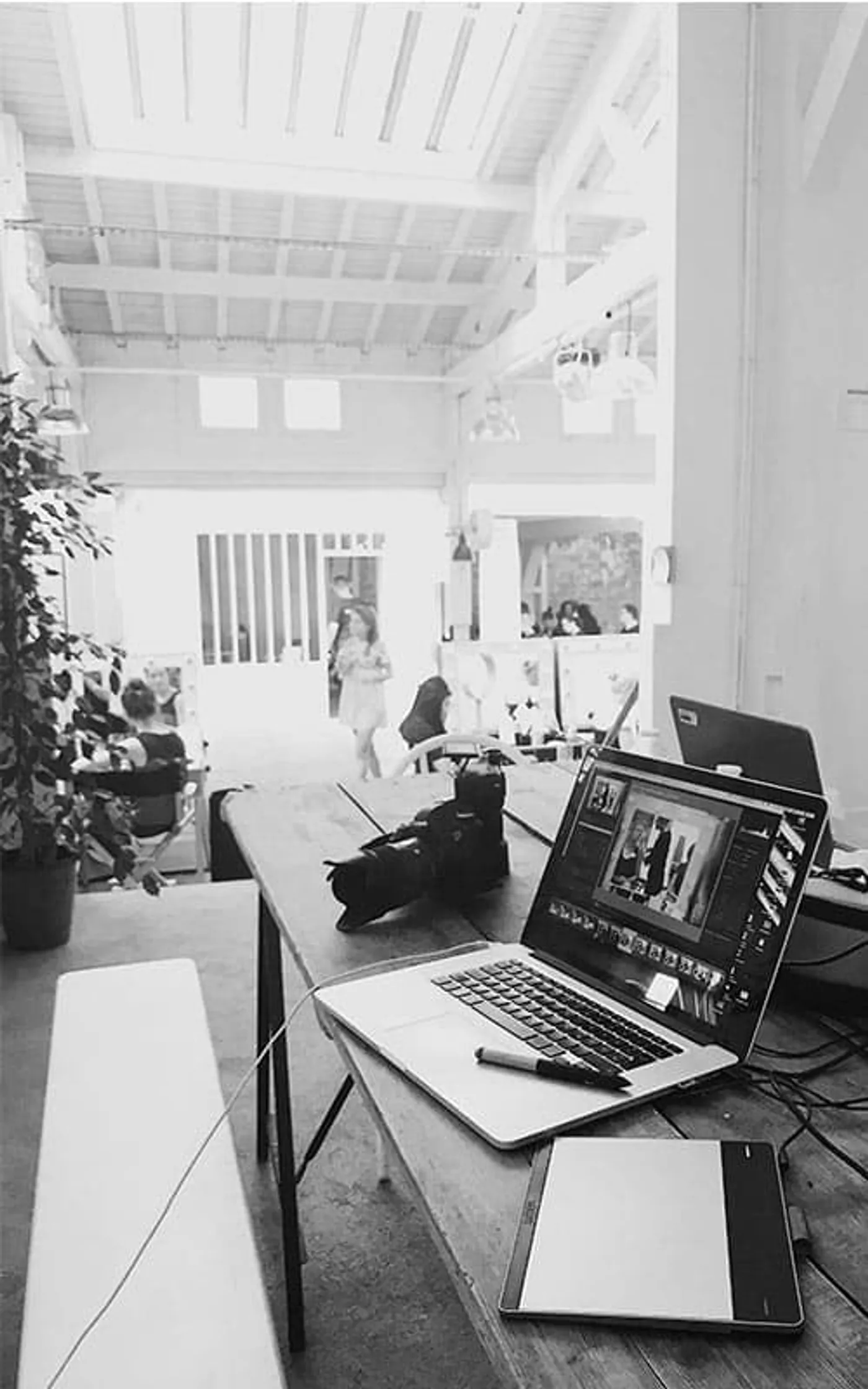 Kiwi Web Design Auckland, helping small businesses grow online