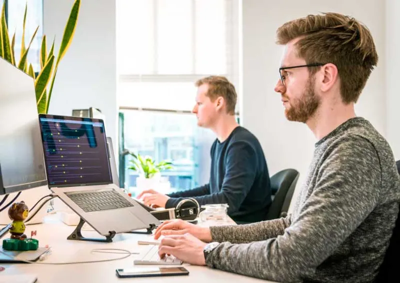 Kiwi Web Design team analysing affordable SEO data for Auckland clients