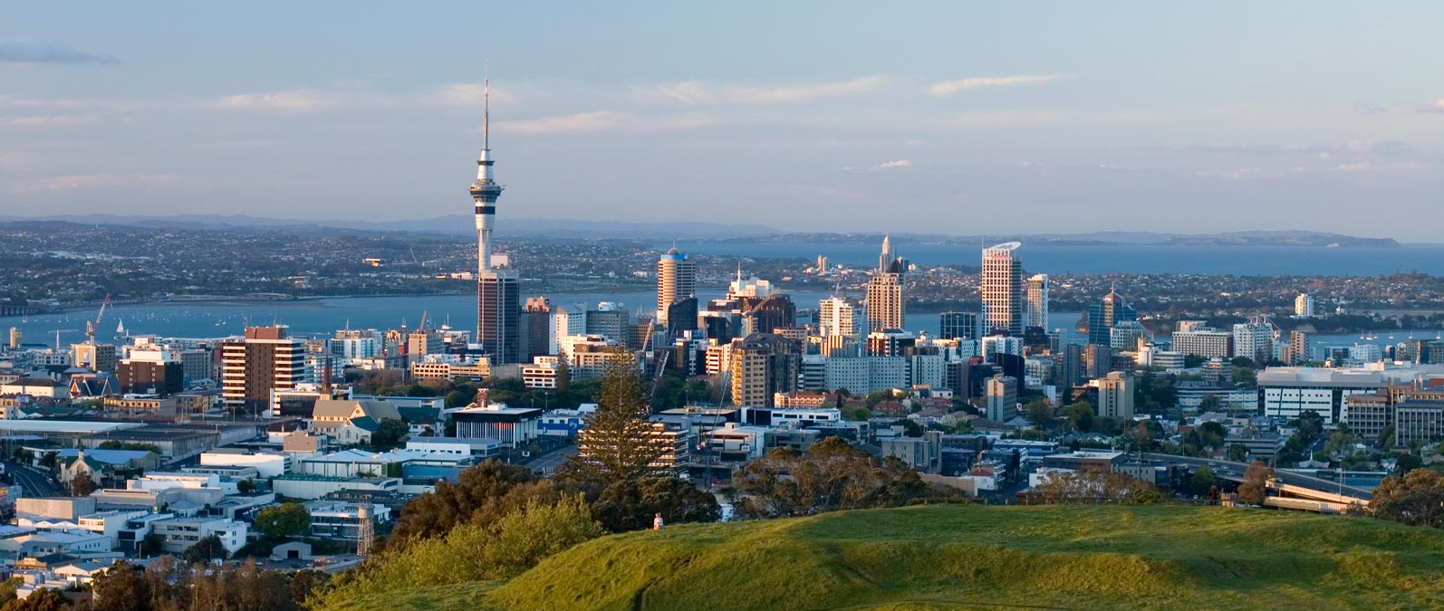 Kiwi Web Design client review and testimonial visual