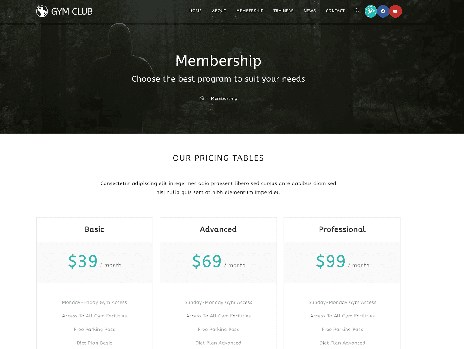 WordPress membership website dashboard for an Auckland business