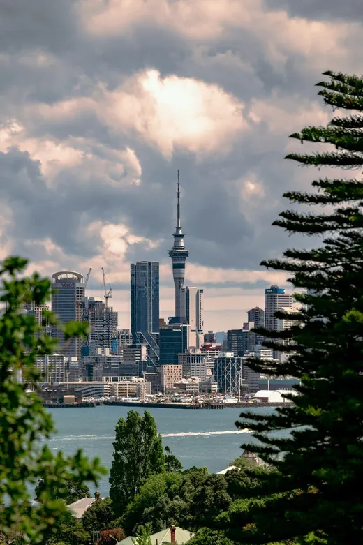 North Shore coastline, where Kiwi Web Design builds websites for Takapuna and Albany businesses