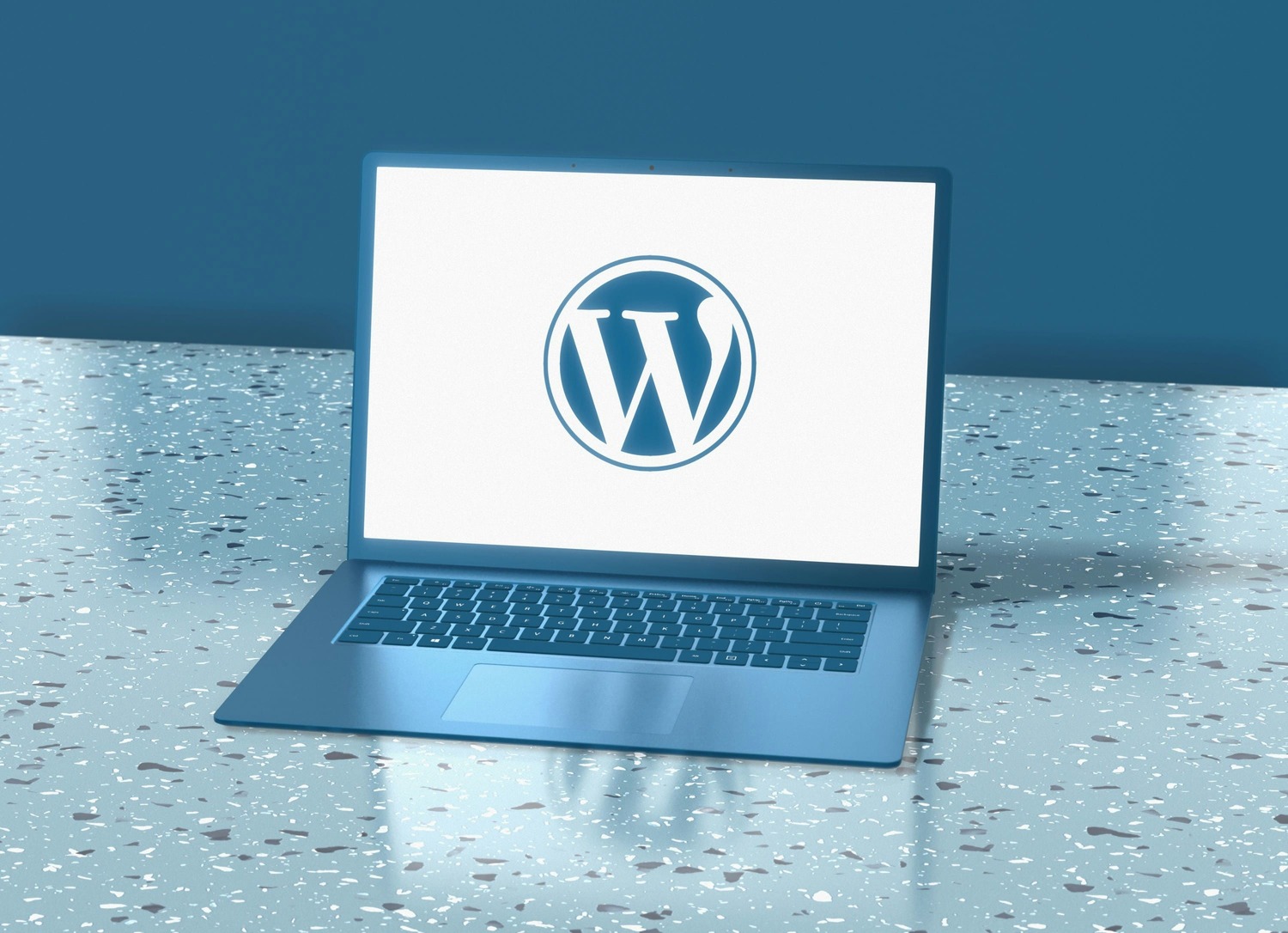 Managed WordPress maintenance dashboard for Auckland small business websites